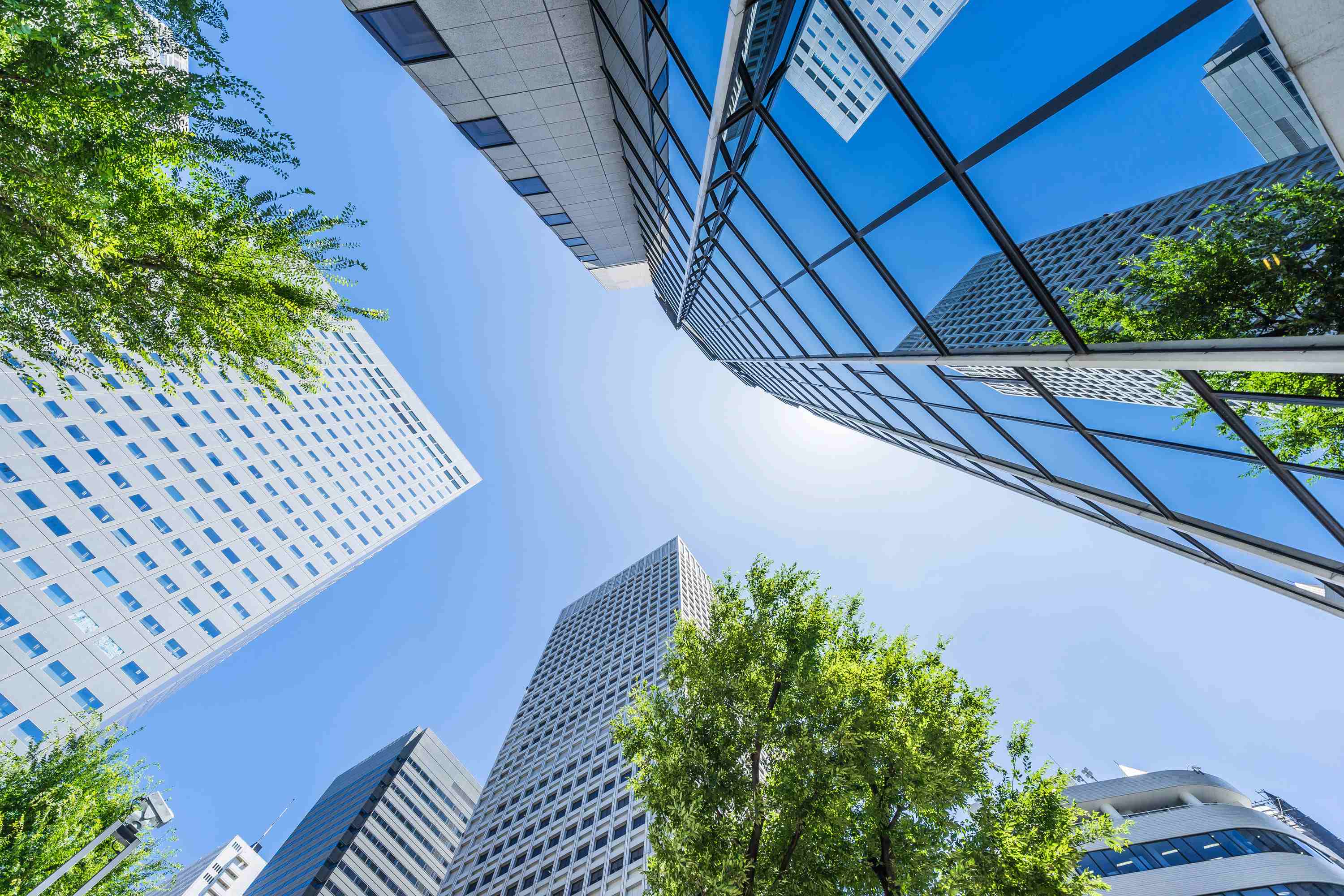 Japanese-Equities-Why-a-Growth-Reversal-is-Nigh